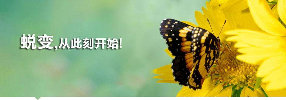 中國紅纓職業(yè)園長高級(jí)管理課程