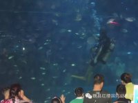 圖片5